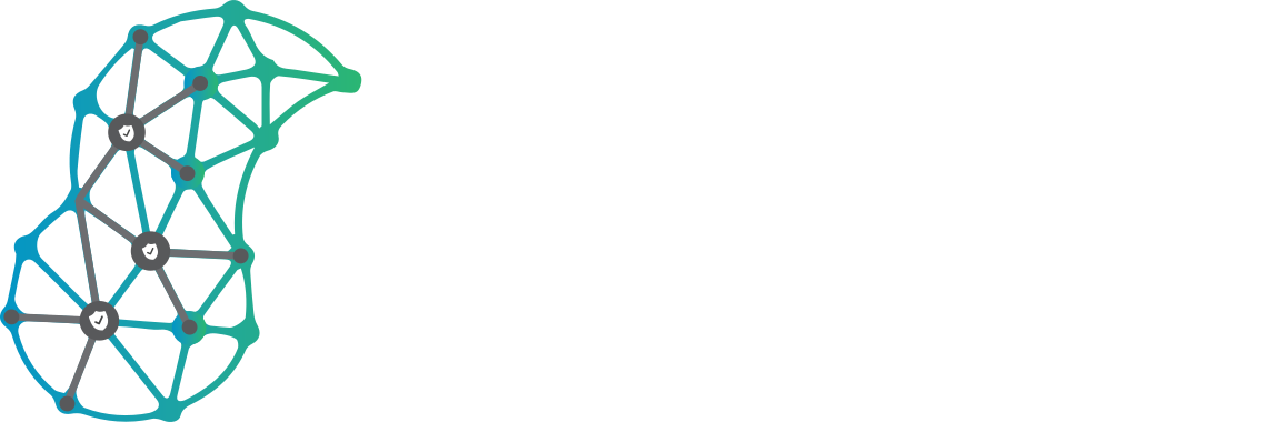 NetSense CyberSecurity Logo